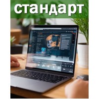 Стандарт пакет/мес